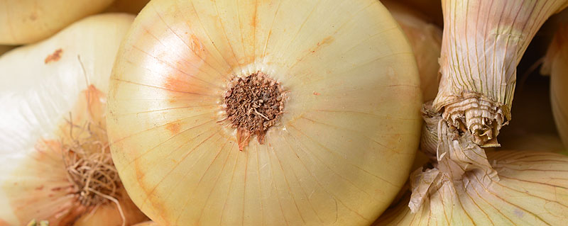 claves-para-comprar-las-frutas-y-verduras-mas-frescas
